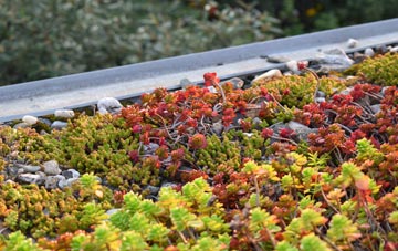 the cost of Seatown green roof installation
