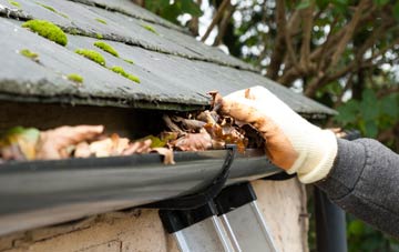 gutter cleaning Seatown