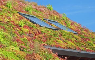Seatown living roof systems