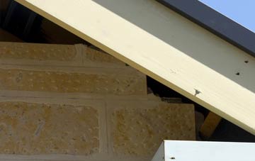 soffit repair Seatown