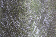 Seatown fibreglass roof work